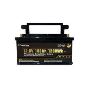Perfektium PF Underseat 12-100H Untersitz Bluetooth Heizung 100 Ah Batterie Lifepo